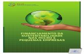 Financiamento Da Sustentabilidade Nas MPE