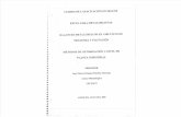 Balances metalúrgicos en circuitos de molienda y flotación - Mauro Erasmo Dueñas Charaja.pdf