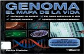 Genoma el Mapa de la Vida