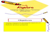 Lenguaje Algebraico - Reduccion de Terminos Semejantes