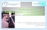 Metodología de La Flexibilización y Su Fisiología Neuromuscular
