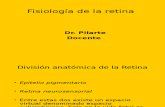 04 Fisiología de La Retina