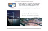 Analisis y Diseño de Un Puente de Concreto Armado Con El Programa Csibridge.