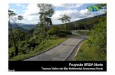 IIRSA Norte web.pdf