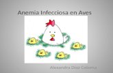 Anemia Infecciosa en Aves