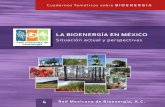 Bioenergia México