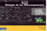 Biología de Los Microorganismos bioqmk