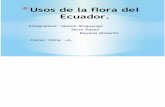 Usos de la flora del Ecuador.pptx