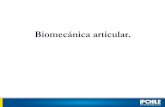 Biomecanica Articular Intro (1)