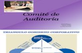 Presentación Comite de Auditoria