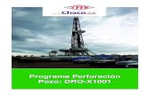 Programa de Perforación DRO-X1001 (Final)