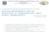 Generalidades de la función y regulación del tubo digestivo
