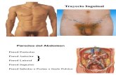 9 Trayectoinguinal 131105093057 Phpapp01
