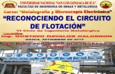 0 1era Clase - Conociendo El Circuito de Flotación 2015-II (1)