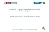 Cap IV Tema II Investigacion y Control de Brotes de Dengue