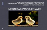 Inmunidad Pasiva en Aves