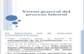 Visión General el Proceso y Principios Laborales Clases 2016