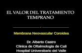 Membrana neovascular coroidea tratamiento temprano.pptx
