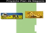 Proyecto Plan de Negocio Apicola - Final