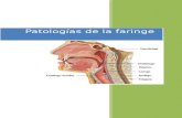 Patología Inflamatoria de La Faringe(1)-Final