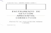 Ejemplo de Instrumento Gestion Ambiental Correctivo Lupuna
