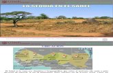 Sequía en el Sahel