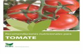Recomendaciones Nutricionales Para Tomate