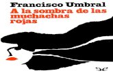 A La Sombra de Las Muchachas Ro - Francisco Umbral