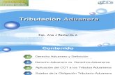 Tributacion Aduanera - GIDE