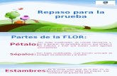 PARTES DE UNA FLOR, PLANTAS  AUTOCTONAS