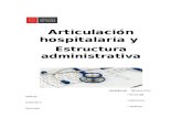 Informe Articulacion Hospitalaria y Estructura Administrativa