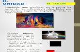Eduación Artistica Unidad 2 Color