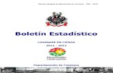 Boletin Casanare en Cifras 2011-2012 Final Diciembre 2013