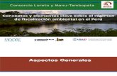 Conceptos y Elementos Clave Sobre El Régimen Común de Fiscalización Ambiental en el Peru