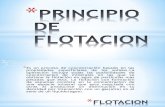 125421335 Principios de Flotacion