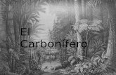 periodo Carbonifero