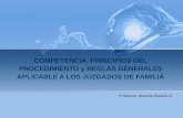 2-2016 COMPETENCIA Y PPIOS PROCEDIMIENTO.ppt