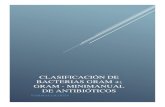 CLASIFICACIÓN DE BACTERIAS GRAM +; GRAM-; ELABORACIÓN DE UN MINI-MANUAL DE ANTIBIÓTICOS