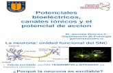 12. Potenciales Bioeléctricos