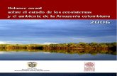 Balance Anual Sobre El Estado de Los Ecosistemas y El Amiente de La Amazonía Colombiana