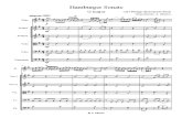 Sonata Hamburguer Orquesta