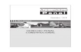 Derecho Penal Constitucional 6