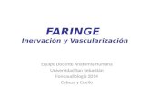 Clase Faringe Inervación y Vascularización