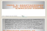 Tema 2. Adaptaciones Del Organismo Al Ejercicio Físico 2015