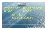Presencia de Hidrocarburos en La Naturaleza