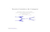 Teoría Cuántica de Campos (Jose Ignacio Illana, Universidad de Granada)