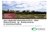 Acaparamiento de tierras y bienes comunes. Perspectivas y dimensiones del fenómeno en Argentina (3).pdf