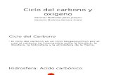 Ciclo Del Carbono y Oxigeno