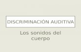 Discriminacion Auditiva El Cuerpo