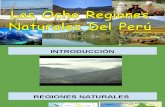 Regiones Naturales Del Perú !